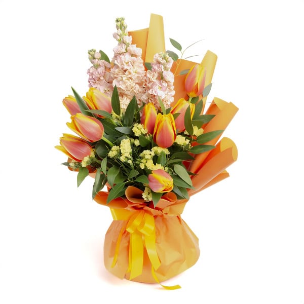 TULIPAS LARANJAS